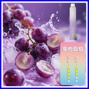 ILIA哩啞電子煙一次性抛棄式 6500口【葡萄】